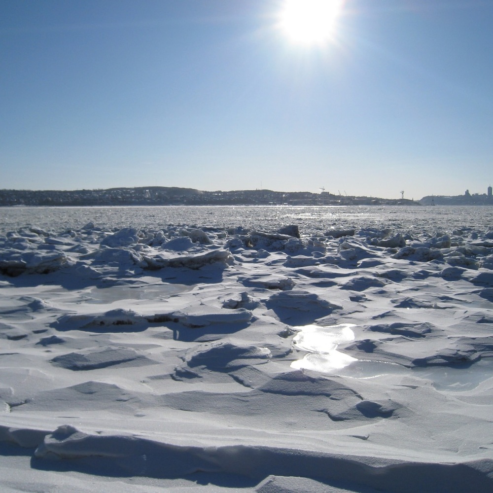 Meet your Posher, Jazzy